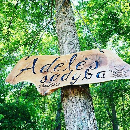Adeles Sodyba Sturmai Exteriér fotografie