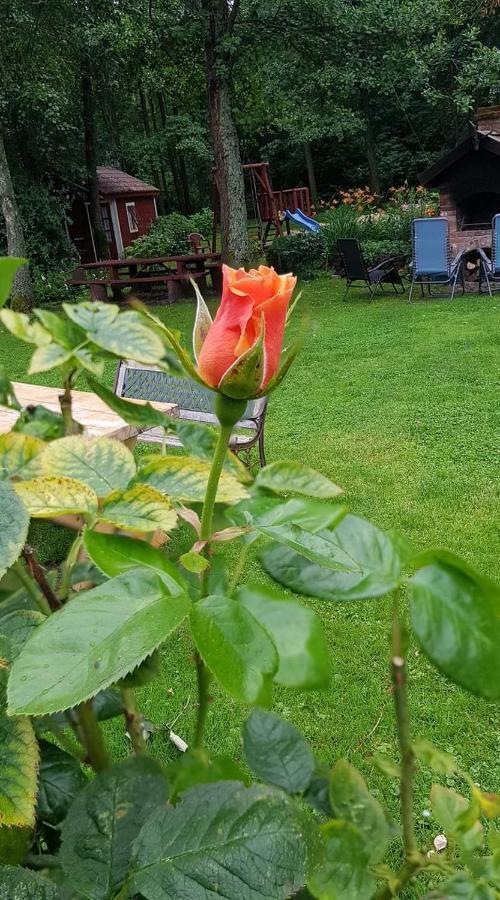 Adeles Sodyba Sturmai Exteriér fotografie