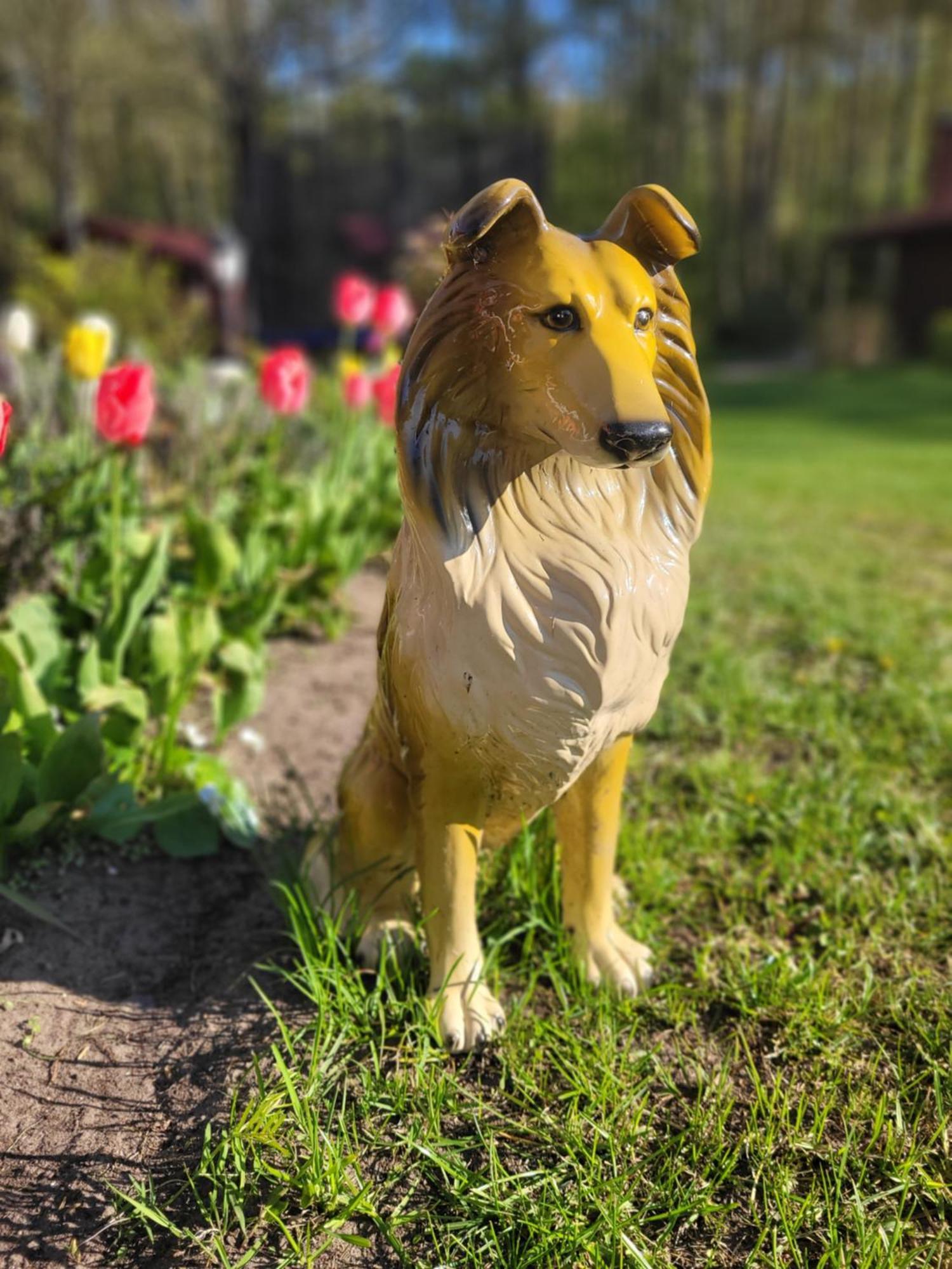 Adeles Sodyba Sturmai Pokoj fotografie