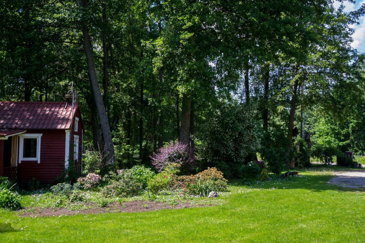 Adeles Sodyba Sturmai Exteriér fotografie