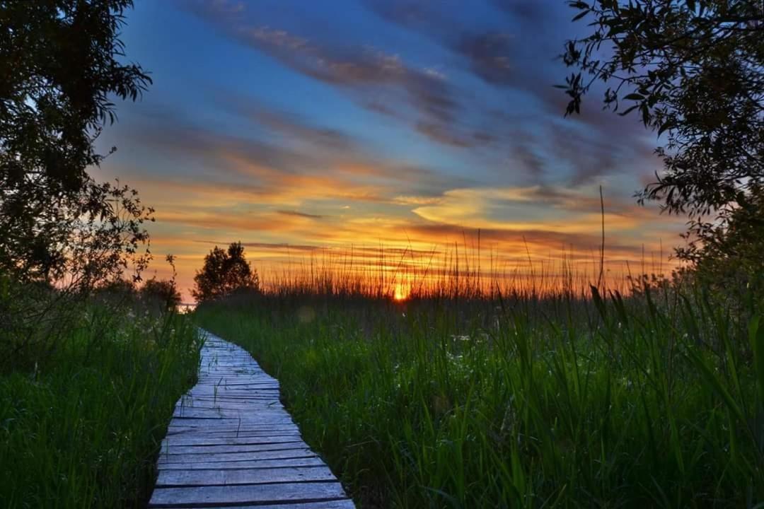 Adeles Sodyba Sturmai Exteriér fotografie